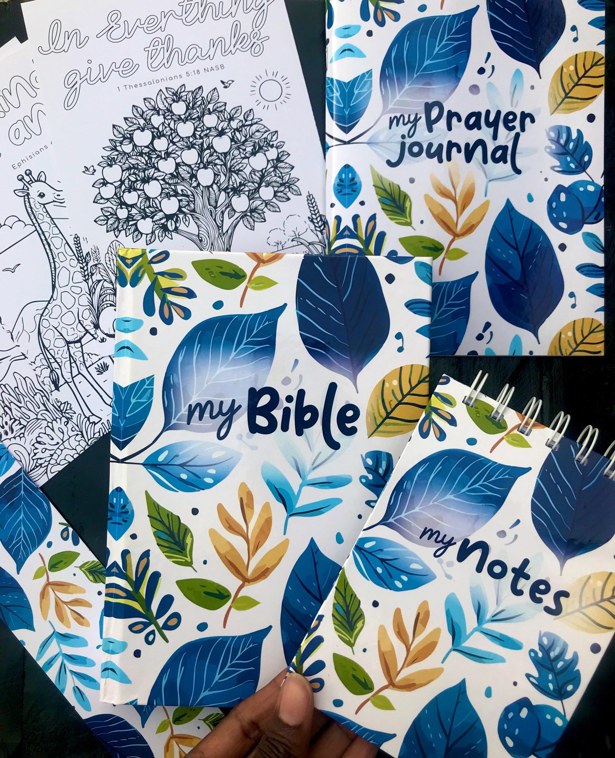 Kid’s Devotional set